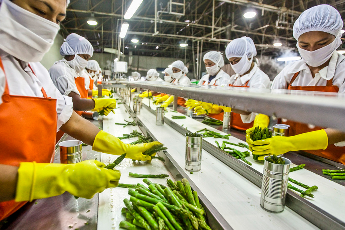Smart Food Technologies: Reducing Food Waste Through Innovation